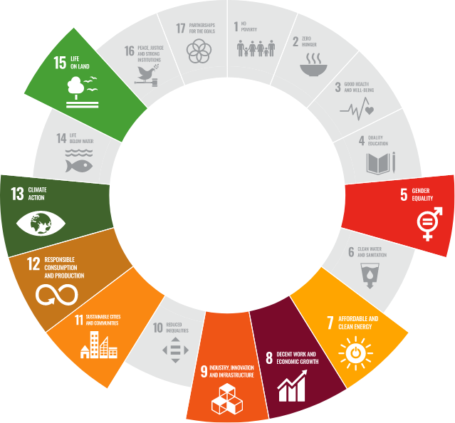 Sustainable Development Goals